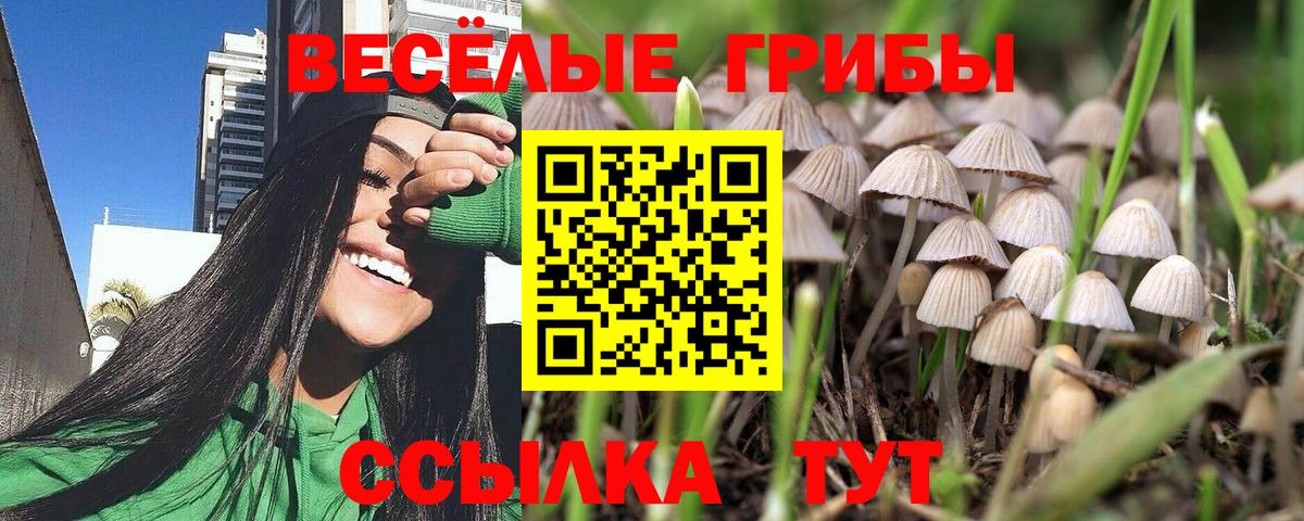 Реутов  Псилоцибиновые грибы мицелий  Вход с VPN  Галлюциногенные грибы прущие грибы 